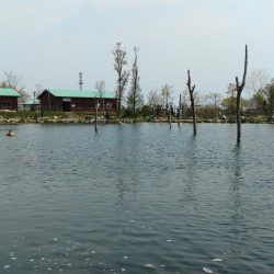 フィッシングパーク髙島の泉で数釣り